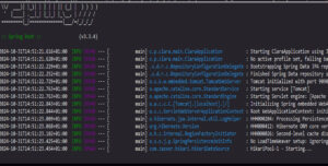 Interfaccia della console Spring Boot con messaggi di sistema, richiamando la sperimentazione e crescita tecnica attraverso side projects.