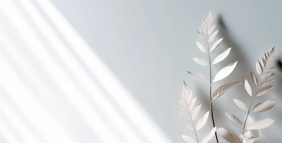 Composizione minimalista con due rami secchi dalle foglie chiare su sfondo bianco, illuminati da una luce soffusa diagonale che crea un delicato gioco di ombre, evocando un’estetica naturale, pulita e contemplativa tipica del minimalismo visivo.